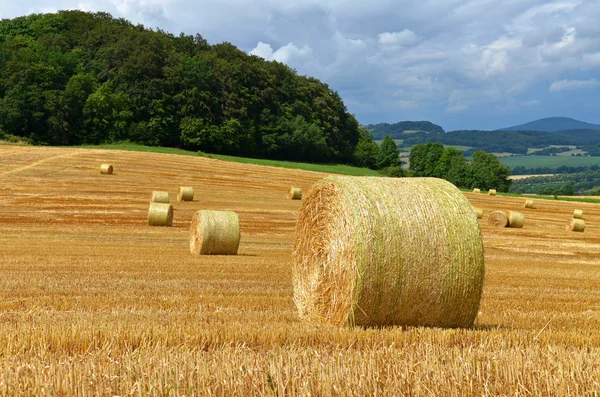 Campo Agrícola Com Fardos Palha — Fotografia de Stock