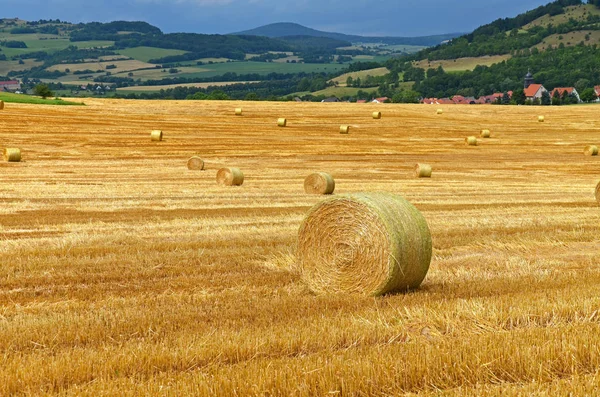 Campo Agrícola Con Fardos Paja — Foto de Stock