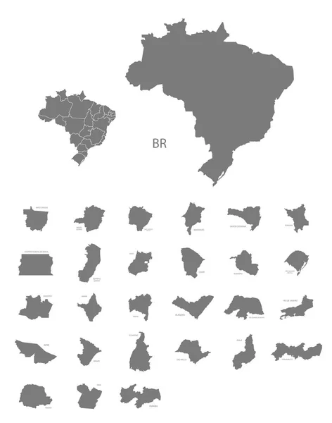 País Entero Los Mapas Distrito Brasil Gris — Foto de Stock