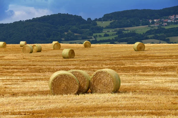 Campo Agrícola Com Fardos Palha — Fotografia de Stock