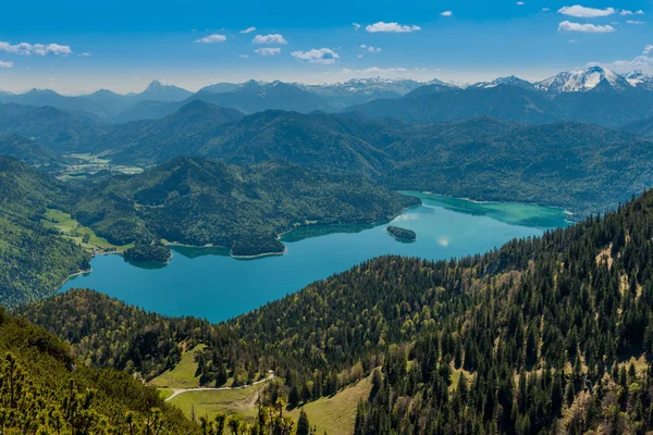 Vue Panoramique Sur Paysage Alpin Majestueux — Photo