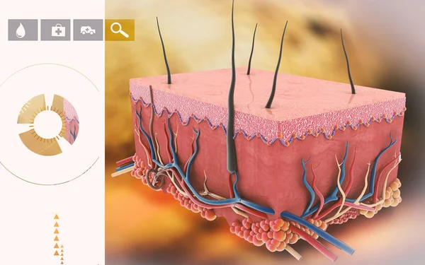 Ψηφιακή Απεικόνιση Του Δέρματος Έγχρωμο Φόντο — Φωτογραφία Αρχείου