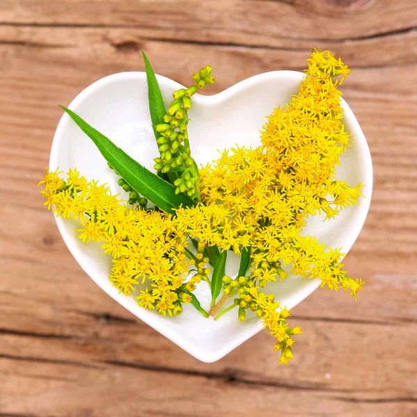 Homeopatía Cocina Con Hierbas Medicinales Caña Oro — Foto de Stock