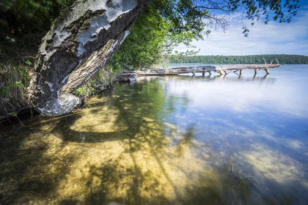 Árboles Muertos Agua Del Lago —  Fotos de Stock