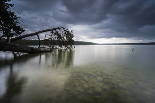 Fallen Trees Water Rain Clouds Lake Spiegelung Dark Clouds Water — Stock Photo, Image