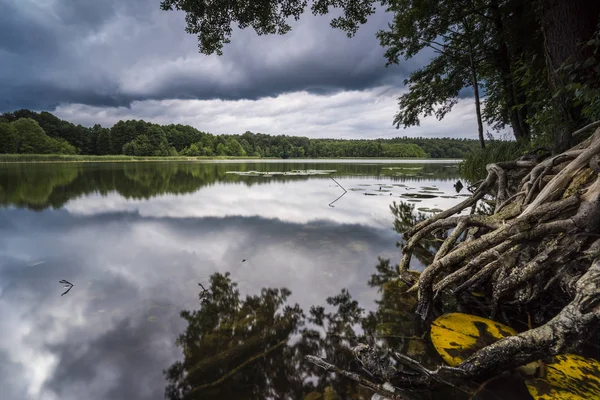 湖畔的倒下的树 映衬着水中美丽的云彩 — 图库照片