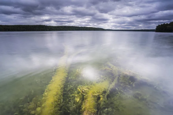 在水里倒了树 在湖上下了雨 在水里升了乌云 在夏天升了水 在水里下了藻类 在水里爬了树 它们的倒影 — 图库照片