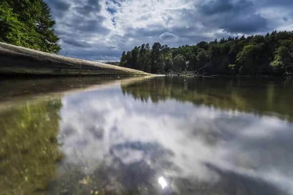 Umgestürzte Bäume Wasser Regenwolken See Spiegelung Der Dunklen Wolken Wasser — Stockfoto