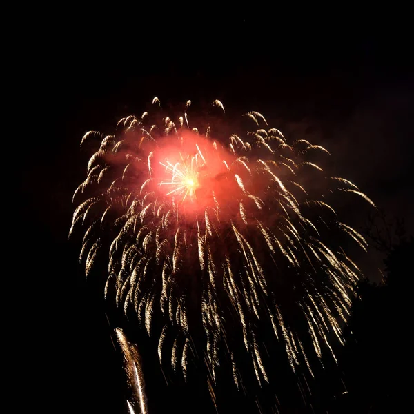 Fuochi Artificio Nel Cielo Notturno Pirotecnica — Foto Stock
