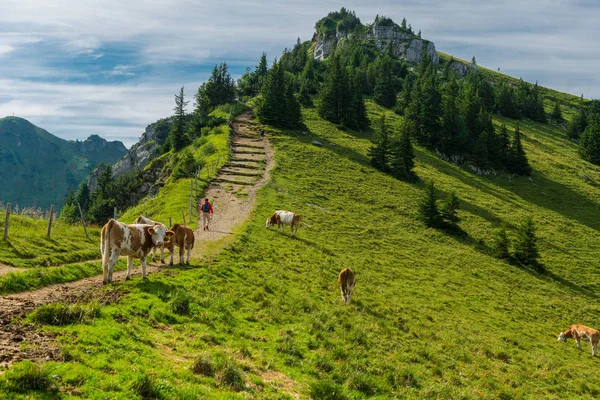 Schilderachtig Uitzicht Majestueuze Alpen Landschap — Stockfoto