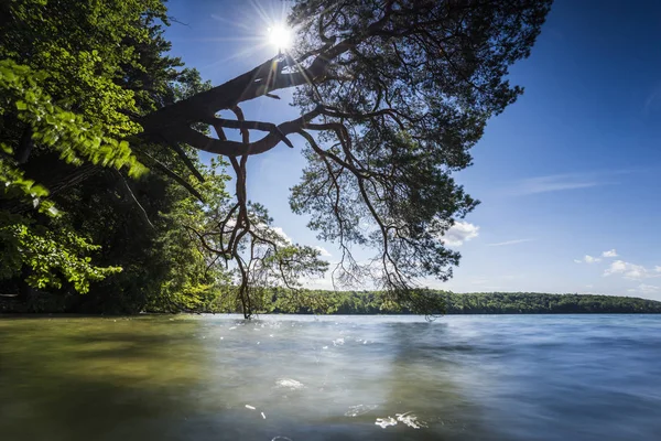 Umgestürzte Bäume Ufer Eines Sees Mit Dem Spiegelbild Der Schönen — Stockfoto