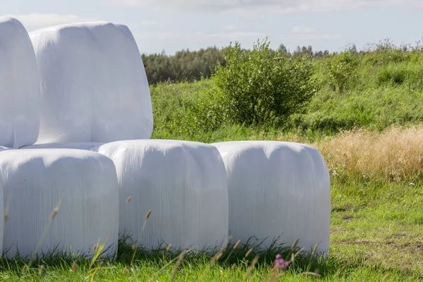 Bolas Silagem Fechar Com Vegetação Fundo — Fotografia de Stock