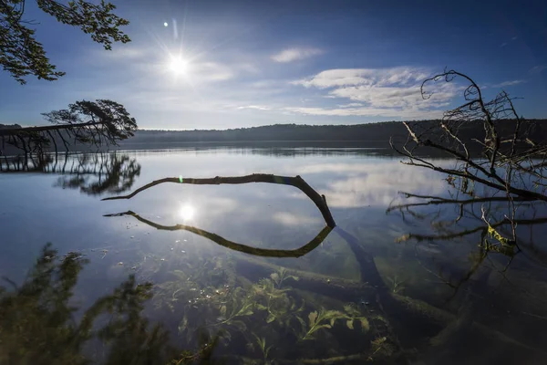 Árboles Muertos Agua Verano Luz Cálida Sobre Lago Madera Muerta — Foto de Stock