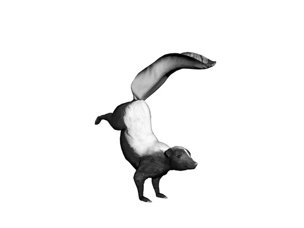 Aranyos Állat Illusztráció Elszigetelt Fehér — Stock Fotó