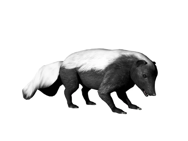 Симпатичные Иллюстрации Животных Изолированы Белом — стоковое фото
