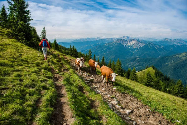 Schilderachtig Uitzicht Prachtig Alpenlandschap — Stockfoto