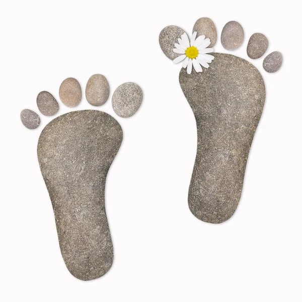 Ноги Челюстями Камни — стоковое фото