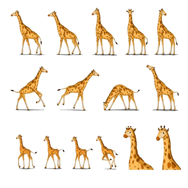 Set African Giraffes Separate Images Digital Painting Full Color Cartoon — Stock Photo, Image