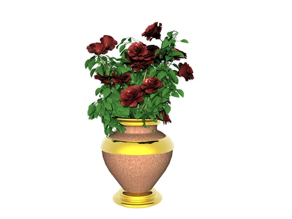 Buket Blomster Vase Isoleret Hvid Baggrund - Stock-foto