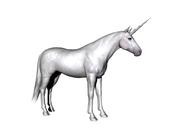 Dibujo Caballo Aislado Blanco — Foto de Stock