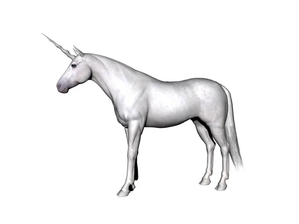 Cavallo Disegno Isolato Bianco — Foto Stock