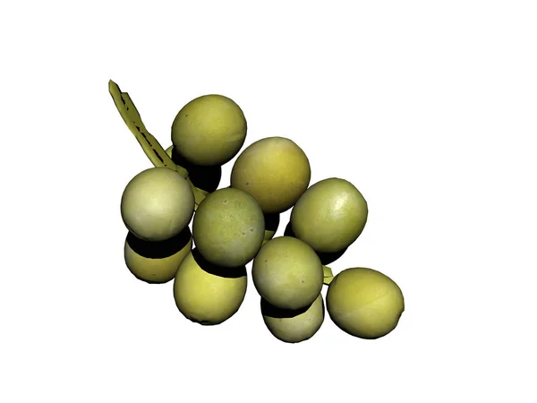 Jagody Winogronowe Owoce Żywności — Zdjęcie stockowe