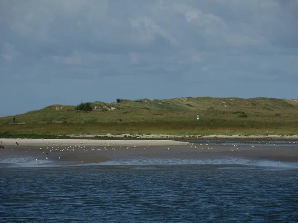 Insel Spiekeroog Natürlicher Hintergrund Deutsche Reise — Stockfoto