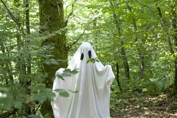Λευκό Φάντασμα Στο Δάσος Δέντρα Της Φύσης Και Απόκριες — Φωτογραφία Αρχείου