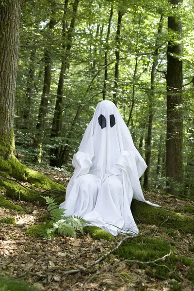 Fantasma Blanco Bosques Árboles Naturales Halloween — Foto de Stock