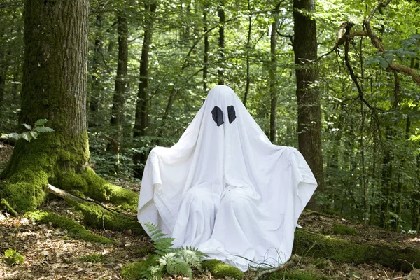 Biały Duch Lesie Drzewa Natury Halloween — Zdjęcie stockowe