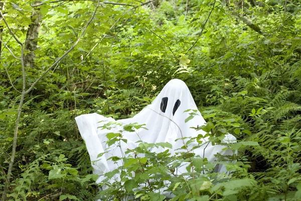 White Ghost Forest Nature Trees Halloween — Stock Photo, Image