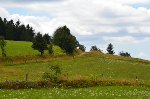 Sommerlandschaft Mit Berg Und Grünem Gras — Stockfoto