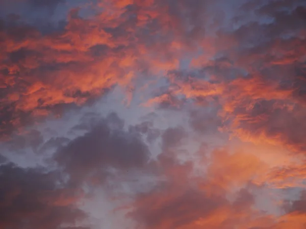 극적인 보라색 하늘과 배경에 일몰에 — 스톡 사진