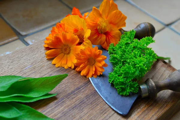 Hierbas Una Tabla Madera Cuchillo — Foto de Stock