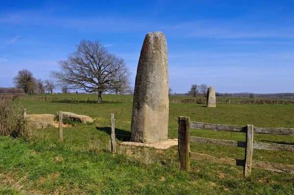 Alignement Couches France Menhirs Epoigny France Couches — стоковое фото