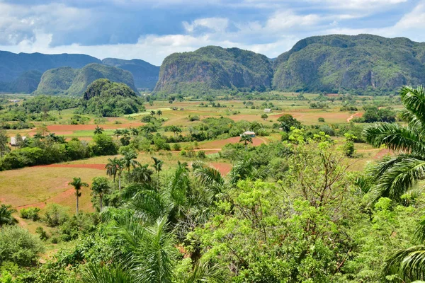 Vinales Vadisinde Kayalar Asılı — Stok fotoğraf