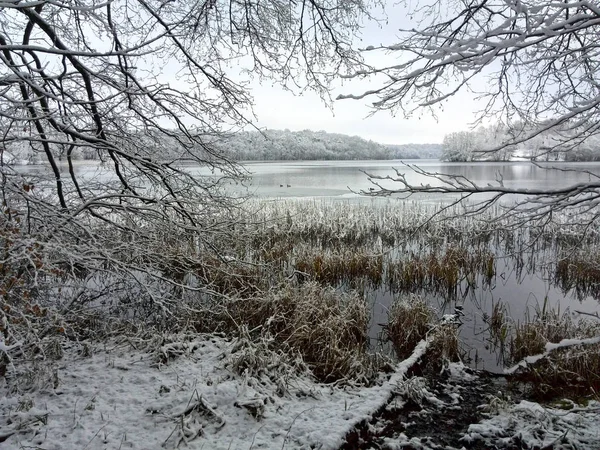 Beautiful View Nature Scene — Stock Photo, Image