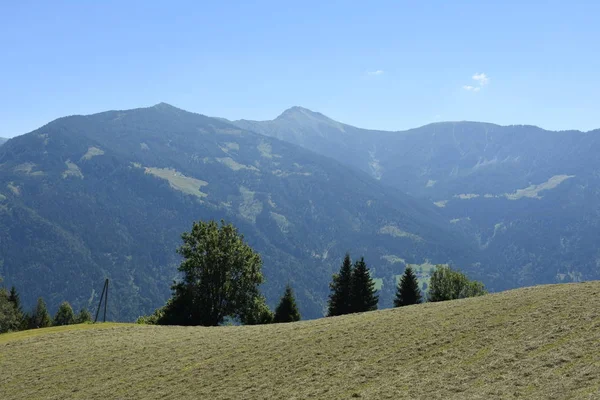 Drautal Radlberg Bergweg Afslag Veld Weide Oogst — Stockfoto