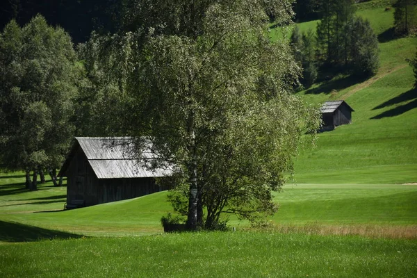 Golf Course Golf Sports Bad Kleinkirchheim Meadow Lawn Forest Upper — Stock Photo, Image