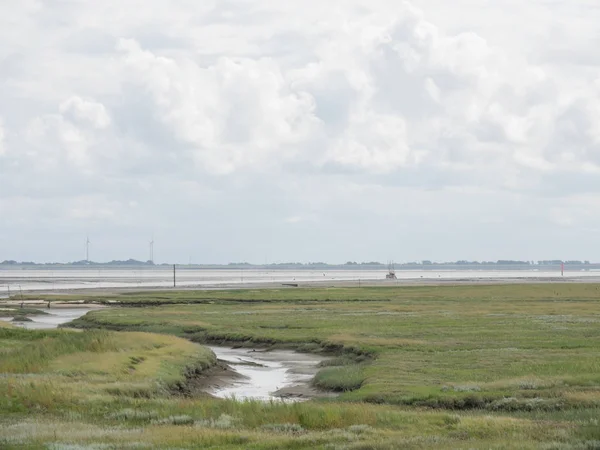 North Sea Island Spiekeroog — Stock Photo, Image