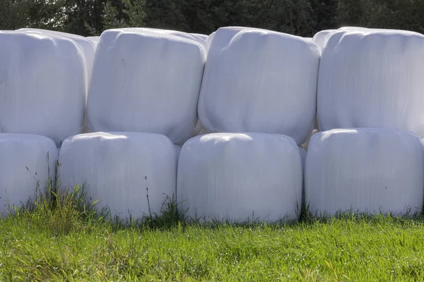 Silage Balls Close Trees Background Royalty Free Stock Images