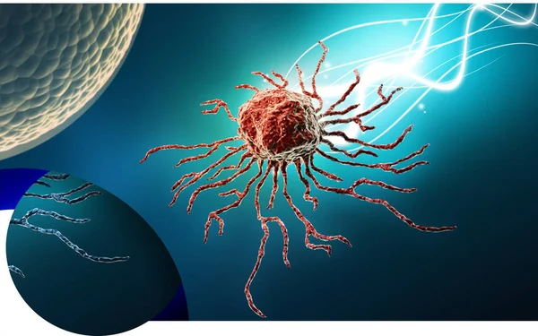 Digital illustration  of stem cell in   colour background