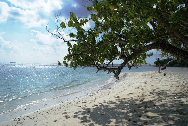 Χαλαρώστε Φύση Των Νησιών Maldivian Θέρετρο Των Μαλδίβων — Φωτογραφία Αρχείου