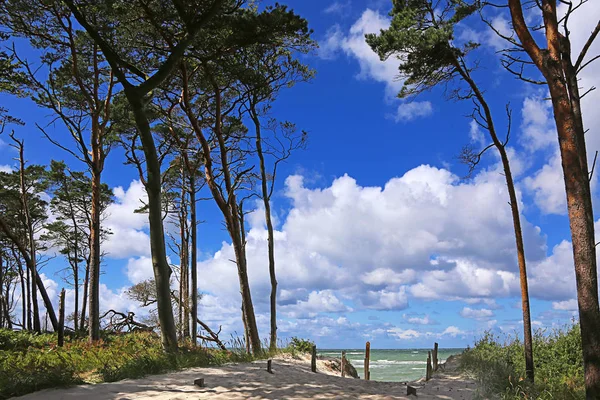 Schöne Aussicht Auf Die Küste — Stockfoto