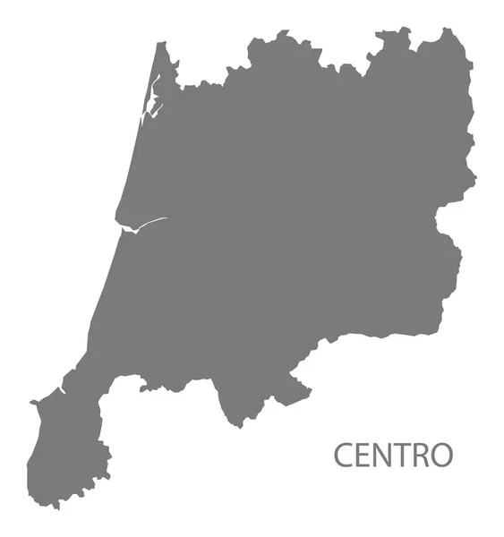 Centro Portugal Map Grey — стокове фото