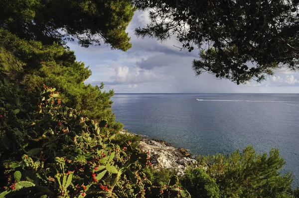 Paysage Côtier Bateau — Photo