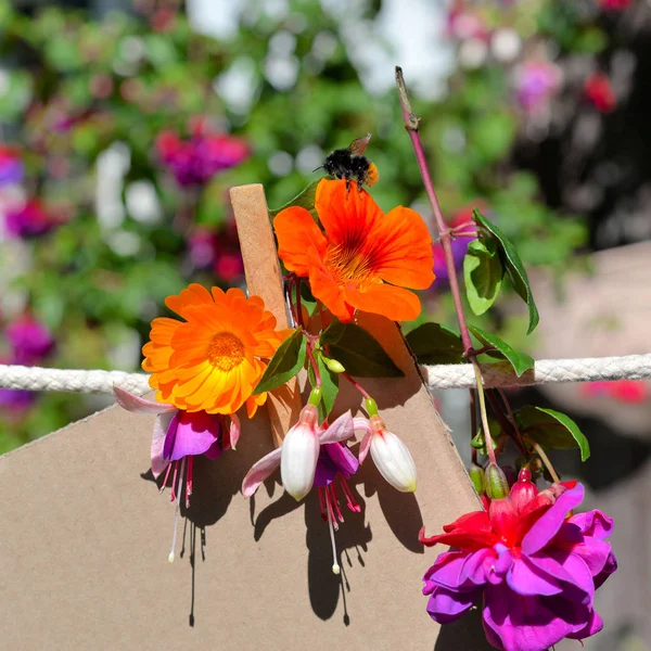 Sheet Paper Clothesline Front Colorful Flowers — Stock Photo, Image