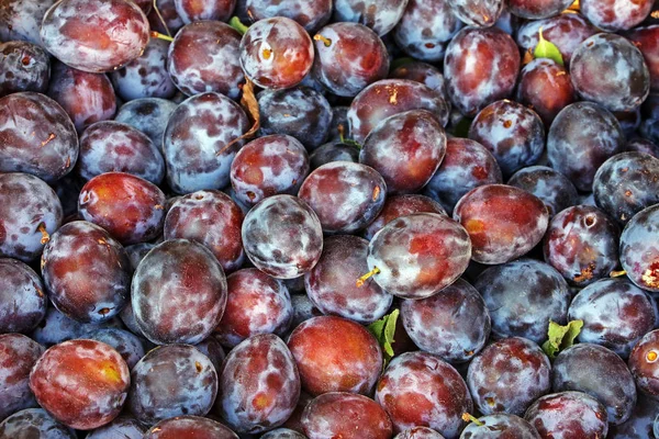 Prugne Sul Mercato Della Frutta — Foto Stock