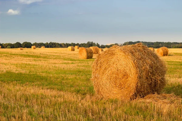 収穫の日没時に田園の乾燥干し草の山 — ストック写真