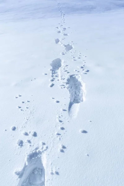 Elementos Inverno Rico Uma Espessa Camada Neve Com Passos Nele — Fotografia de Stock